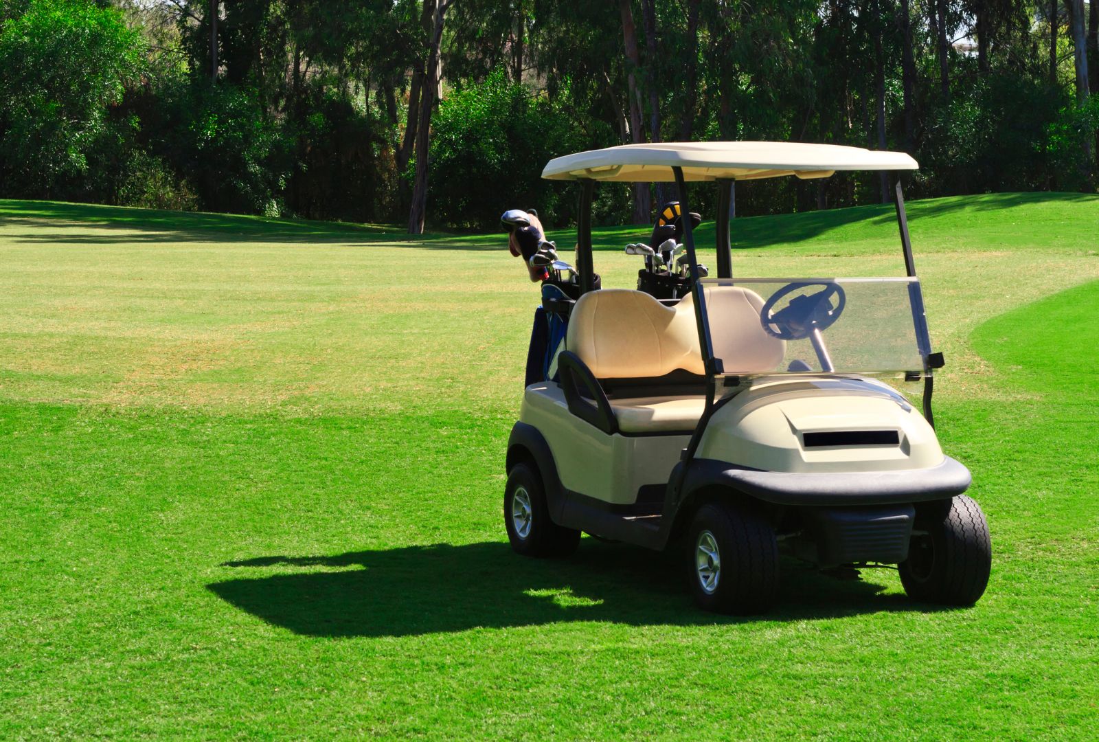 Golf cart on green grass with golf clubs and bags, Golf Carts Atlanta service and repair.